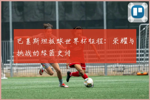 巴基斯坦板球世界杯征程：荣耀与挑战的绿茵史诗