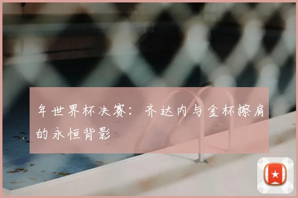 年世界杯决赛：齐达内与金杯擦肩的永恒背影